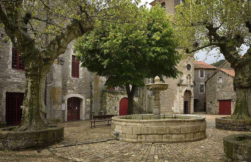 La Maison D'Angele Sainte-Eulalie-de-Cernon Екстер'єр фото